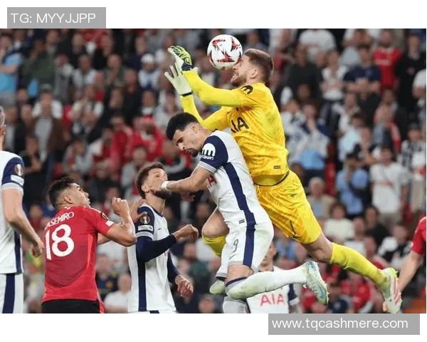 2018年英超精彩对决狼队与热刺的激烈较量回顾与分析