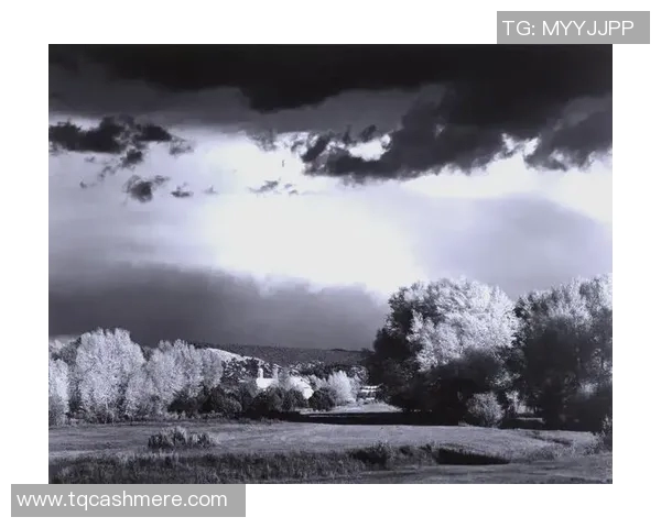 亚当斯的传奇人生与时代变迁的深刻影响探索