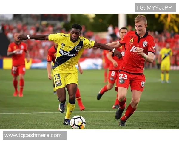 中央海岸水手与北方虎的激烈对决引发球迷热烈期待与关注