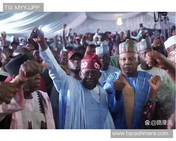 厄德高在国际舞台上的崛起与影响力分析：从青年才俊到足球巨星的成长之路