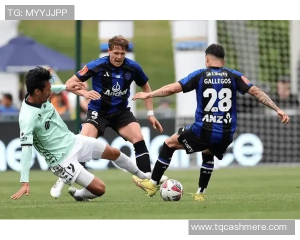 墨尔本城与悉尼FC精彩对决直播全程回顾与分析