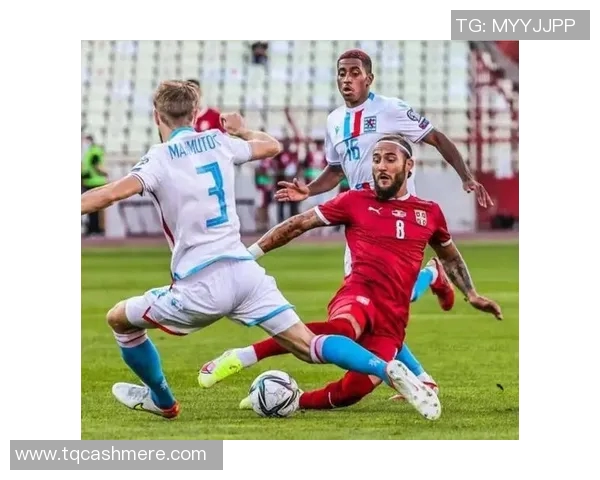 U18波兰与塞尔维亚激战正酣青少年足球赛场上的精彩对决