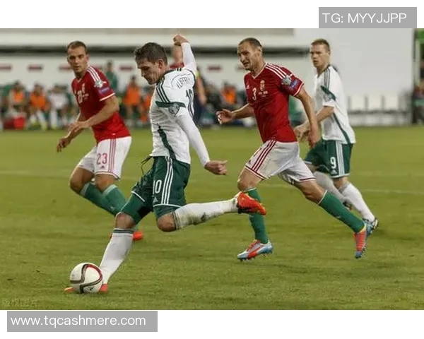 冰岛与匈牙利足球对决专家分析及比分预测详解