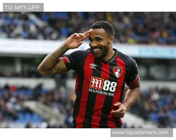 伯恩茅斯主场迎战巴恩斯利期待精彩对决与进球盛宴