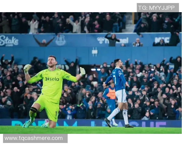 埃弗顿主场迎战纽卡斯尔双方争夺英超宝贵积分