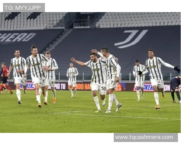 本泽马的传奇之路：从天才少年到足坛巨星的成长历程与成就分析