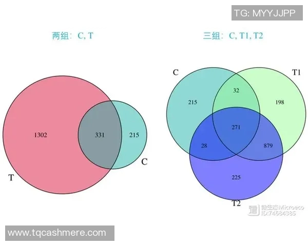 韦恩对汉堡比赛结果预测分析及双方近期状态评估
