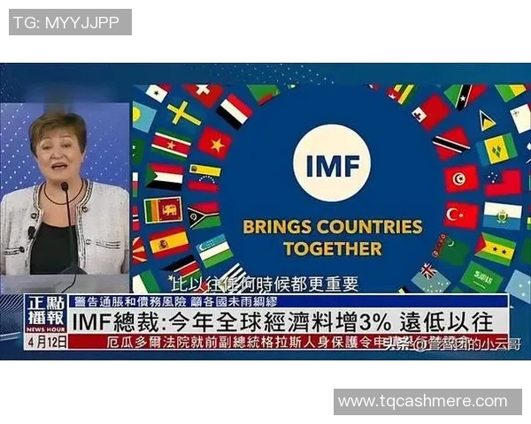 深度对话：探索陈伟在CSGO世界中的成长与挑战之路