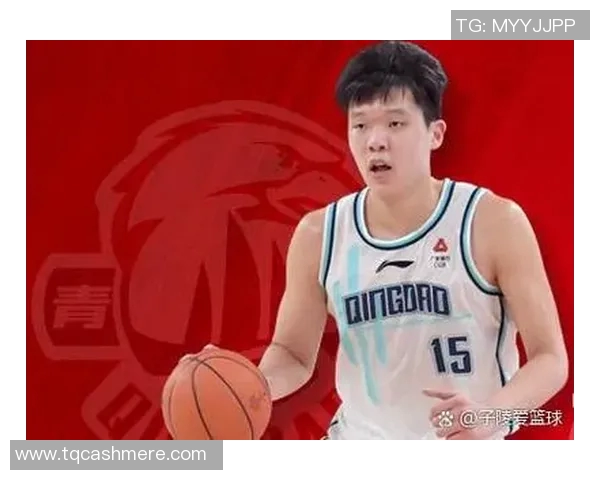 职业联赛分析：WE在耐力赛中的出色表现与未来展望