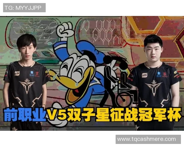 V5战队比赛经验引发热议玩家对其表现的看法分歧明显