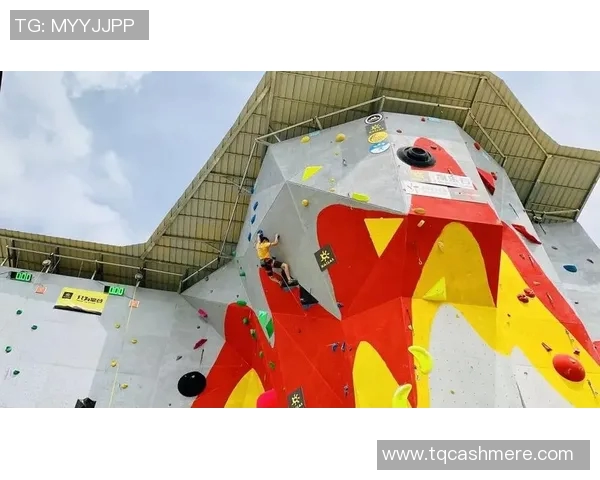 南京攀岩队创历史新高攀岩状态排名引发广泛关注与赞誉