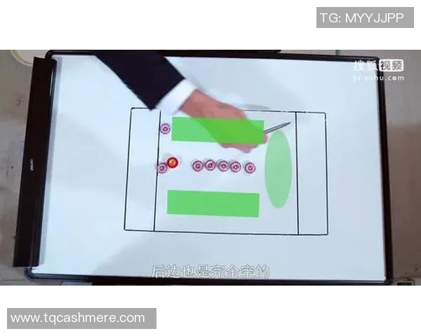 上海飞盘队意识对比深度剖析与战术演变探讨