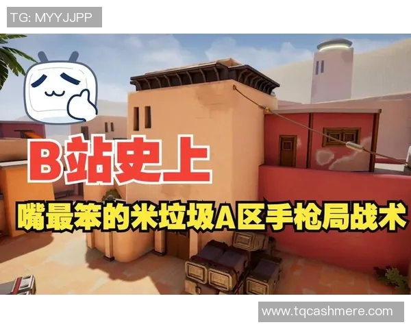 CSGO战术分析：深入探讨TES战队的进攻策略与执行细节