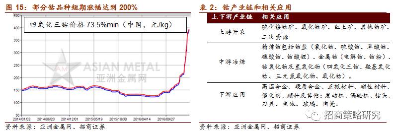 半岛·综合体育【招商策略】物以稀为贵——稀贵资源投资正当时(图10)