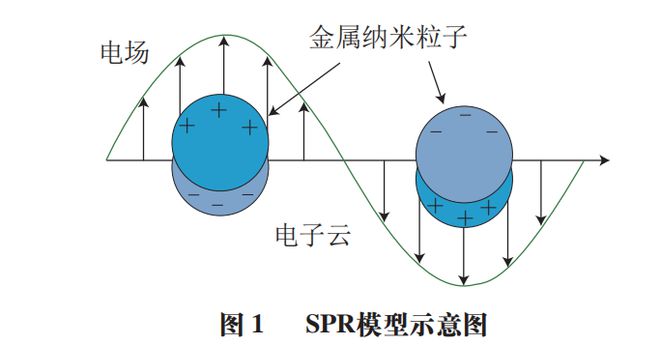 半岛·综合体育《食品科学》：江苏大学郭志明教授、荣雅文博士等：食品中常见真菌毒素(图2)