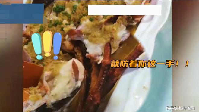 半岛·综合体育(中国)官方网站女子买大龙虾找饭店代加工做熟后发现龙虾大了一圈断肢(图2)