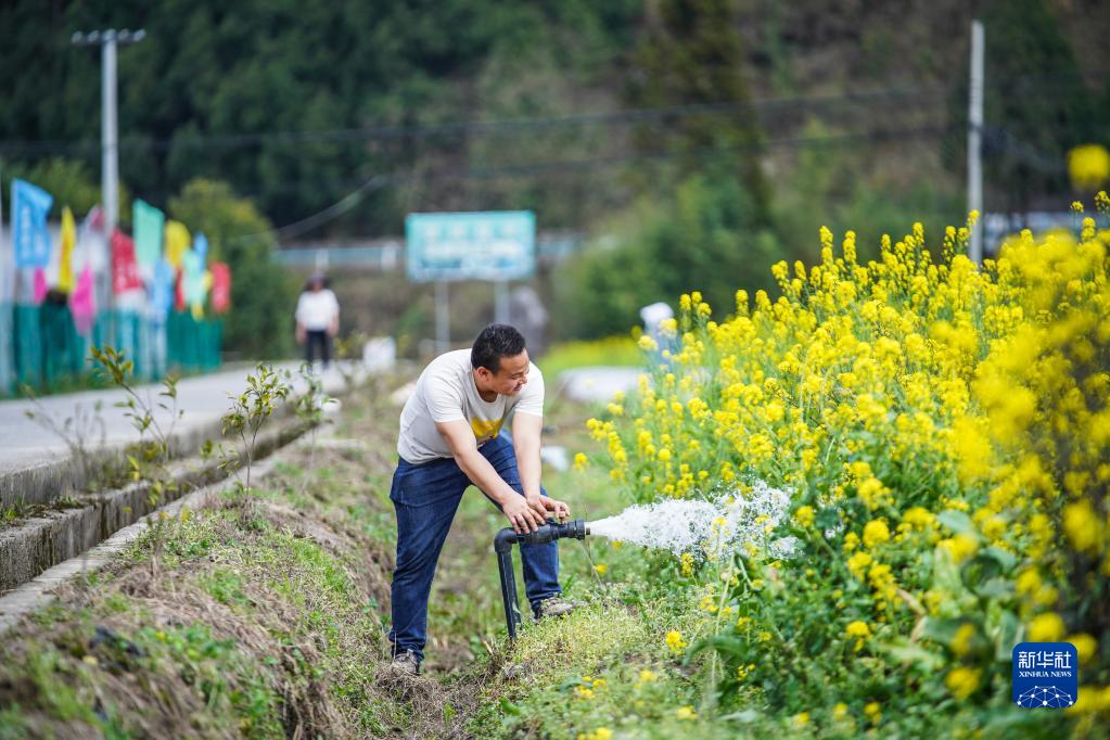 半岛·综合体育下载浇好“第一桶”丰收水——农村水网夯实粮食安全后盾(图6)