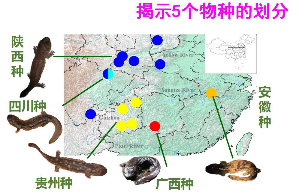 半岛·综合体育(中国)官方网站赞！上半年这些科学新成果或改变你我生活(图5)