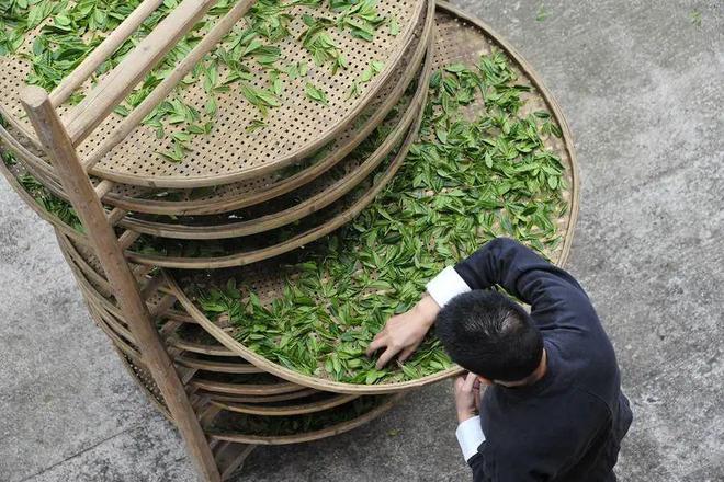 半岛·综合体育下载万古福茶山水韵 人走茶不凉！带你看八闽茶文化！(图10)