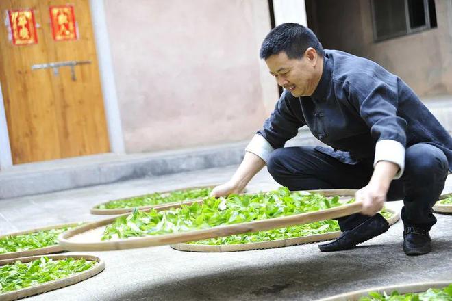 半岛·综合体育下载万古福茶山水韵 人走茶不凉！带你看八闽茶文化！(图9)