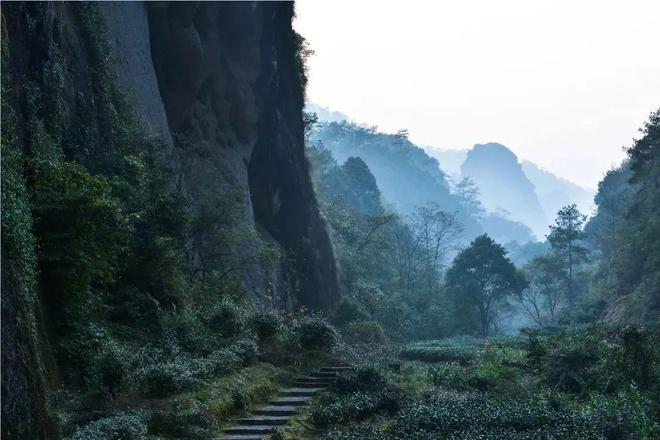 半岛·综合体育下载万古福茶山水韵 人走茶不凉！带你看八闽茶文化！(图22)