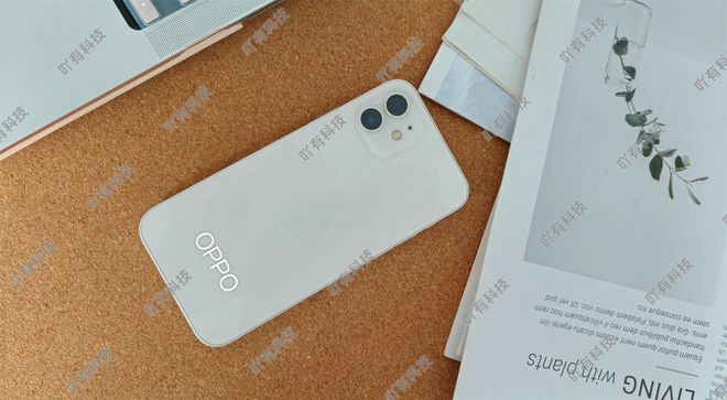 半岛·综合体育OPPO Reno13真机抢先看：iPhone同款工艺堪称小Oph(图3)